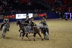 Quadrille - 00728